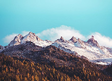 九游正版官网之旅：正版守护，畅享游戏新纪元